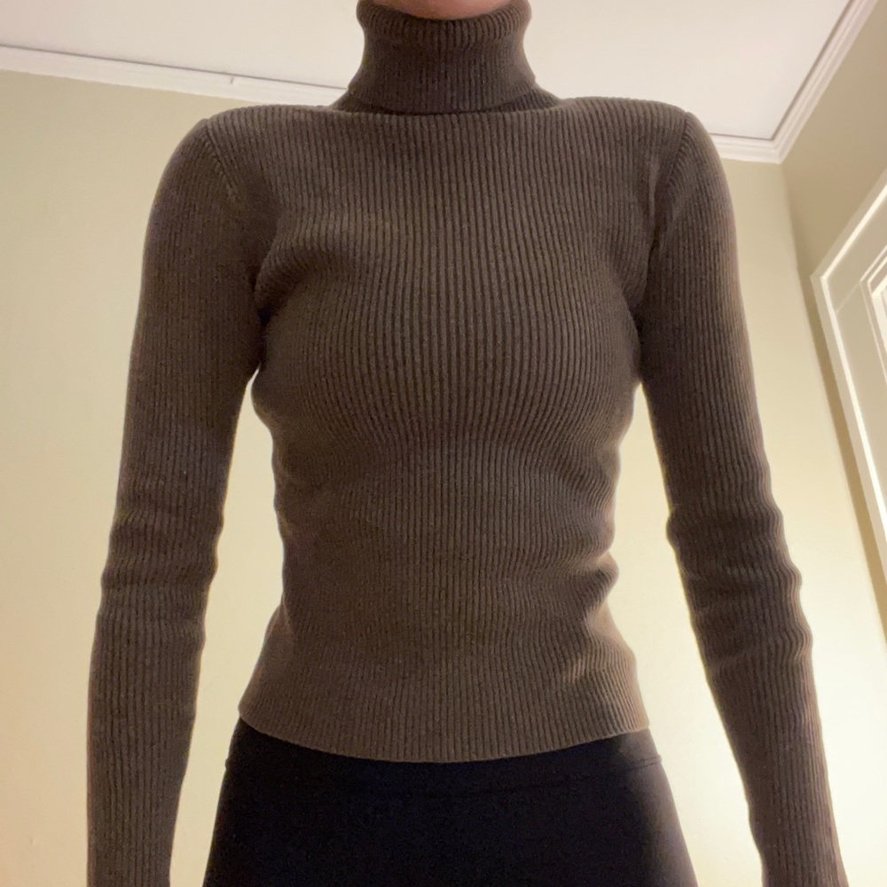 Brown Ribbed Turtle Neck